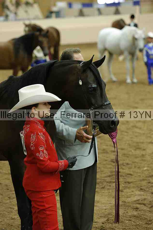Proof 13yn_00736