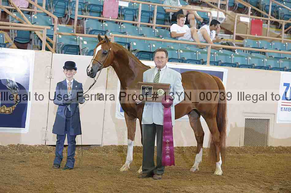 Proof 13yn_00739