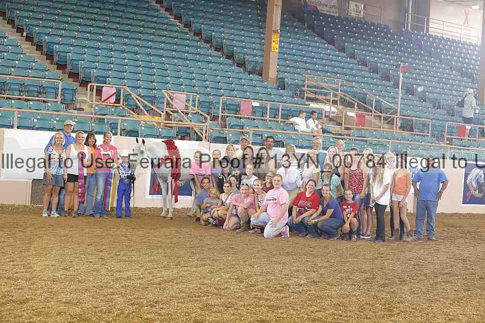 Proof 13yn_00784