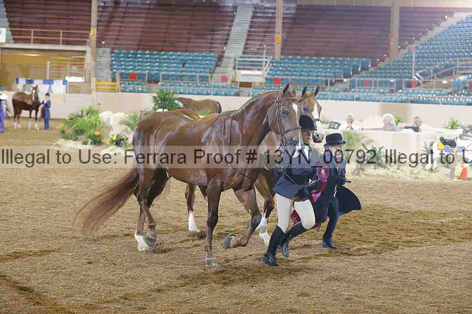 Proof 13yn_00792