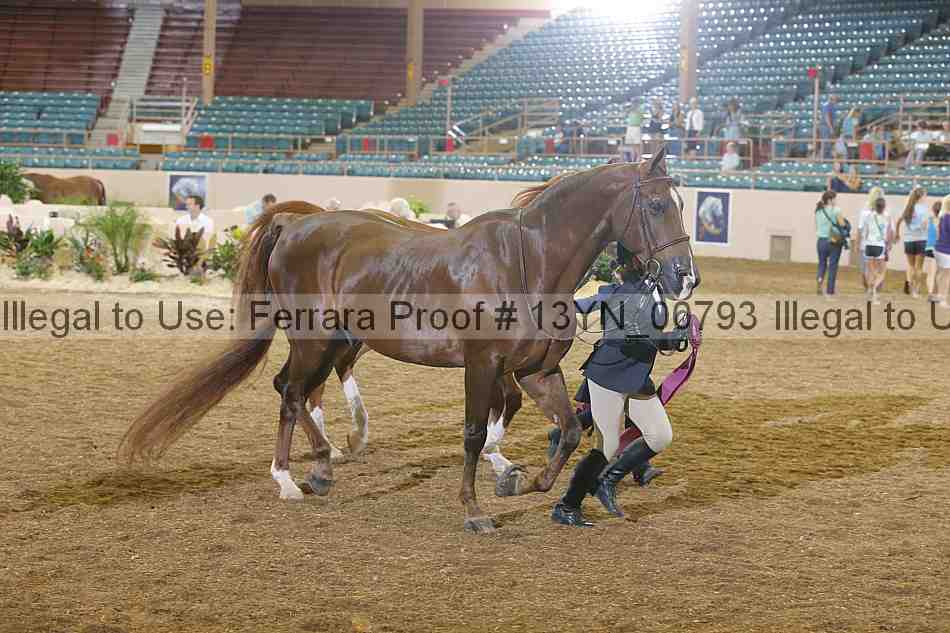 Proof 13yn_00793