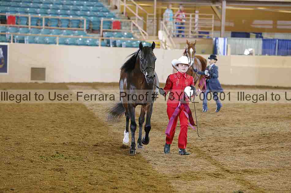 Proof 13yn_00801