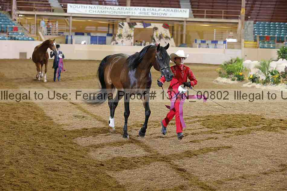 Proof 13yn_00802