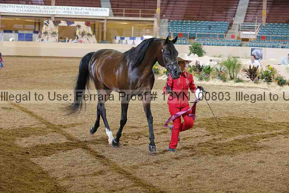 Proof 13yn_00803