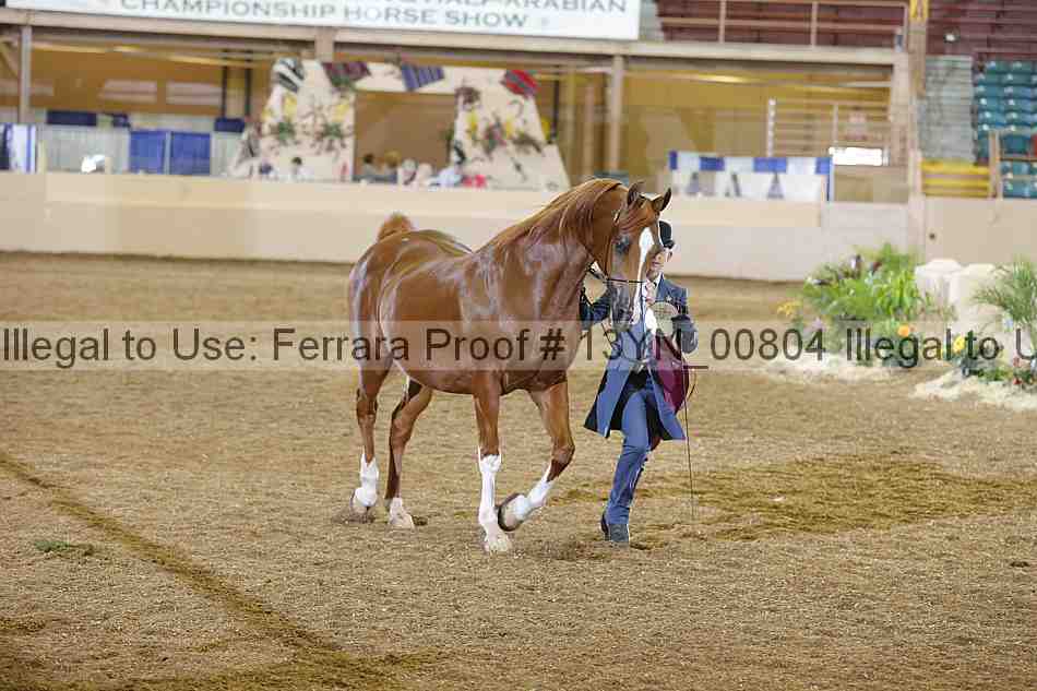 Proof 13yn_00804
