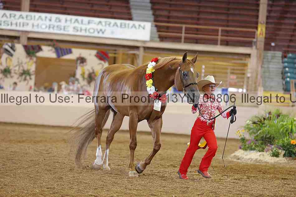 Proof 13yn_00806