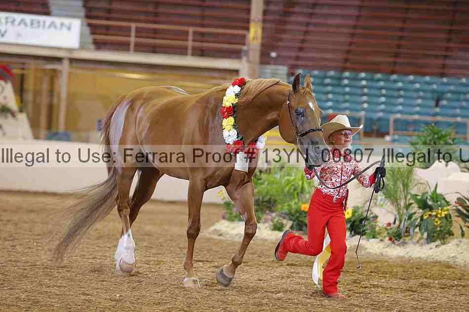 Proof 13yn_00807