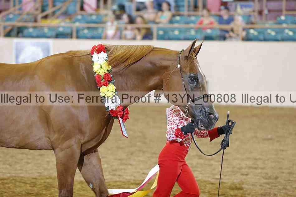 Proof 13yn_00808