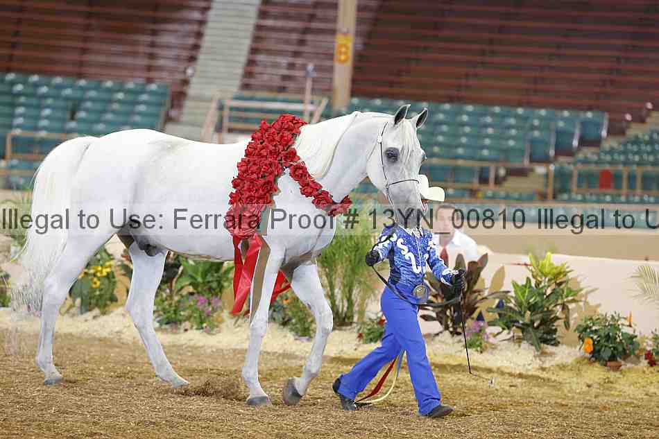Proof 13yn_00810