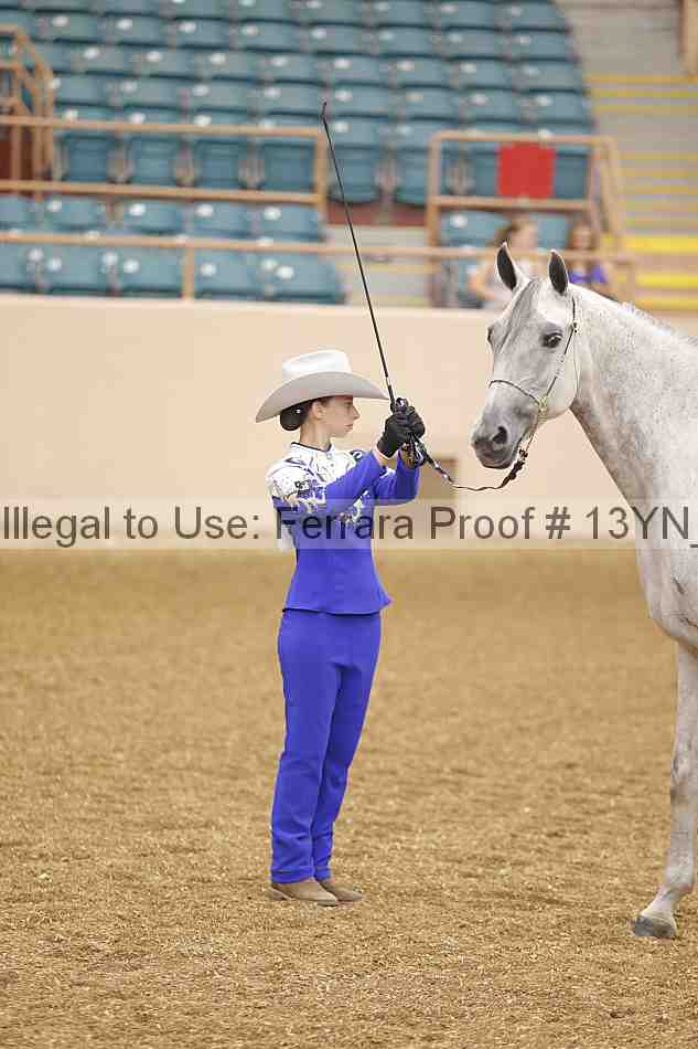 Proof 13yn_00085