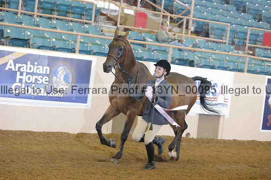 Proof 13yn_00095