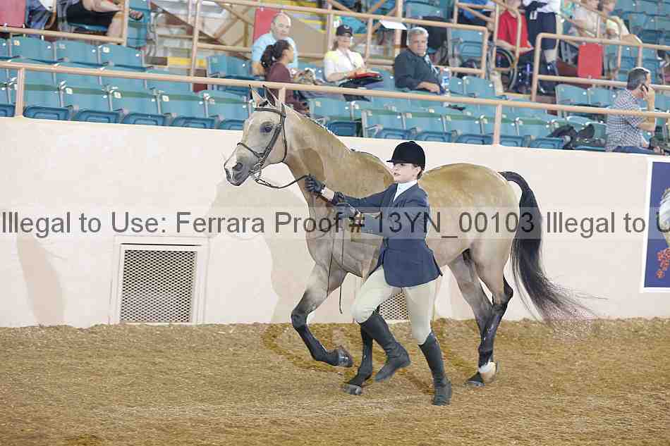 Proof 13yn_00103