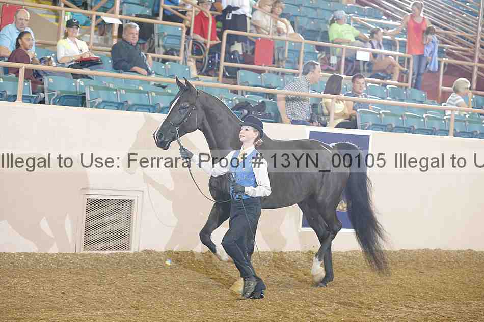 Proof 13yn_00105