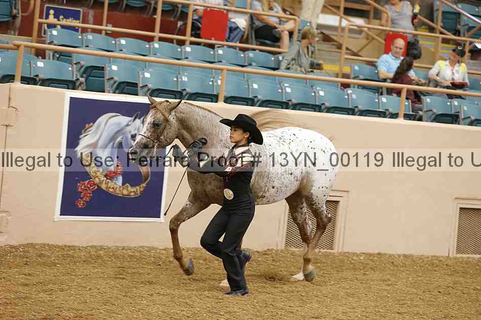 Proof 13yn_00119