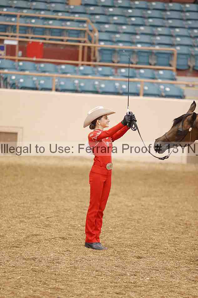 Proof 13yn_00163