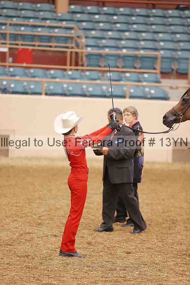 Proof 13yn_00165