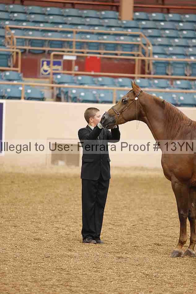 Proof 13yn_00188