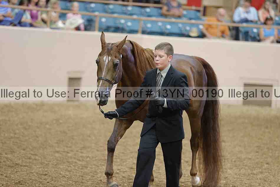 Proof 13yn_00190