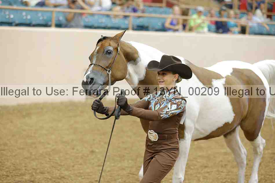 Proof 13yn_00209