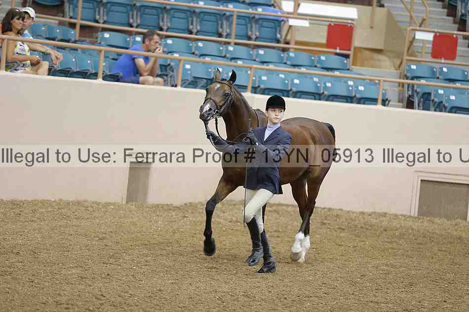 Proof 13yn_05913