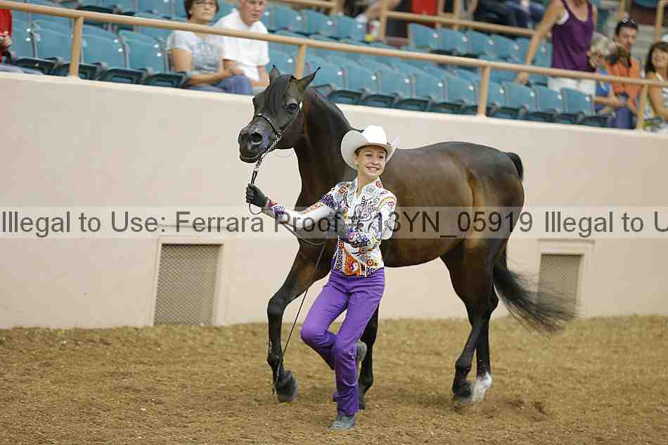 Proof 13yn_05919
