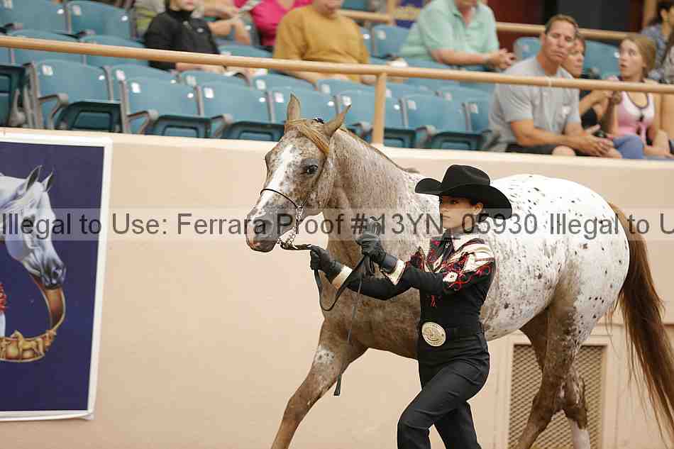 Proof 13yn_05930