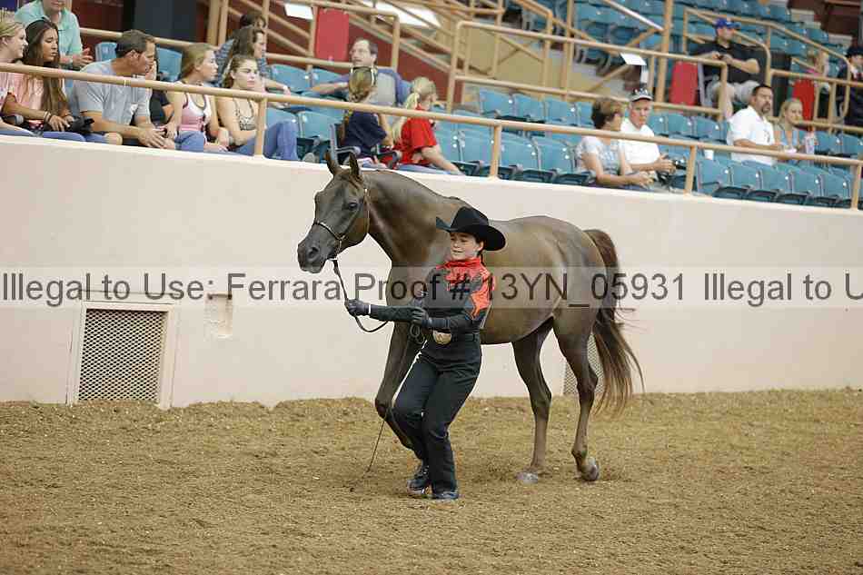 Proof 13yn_05931