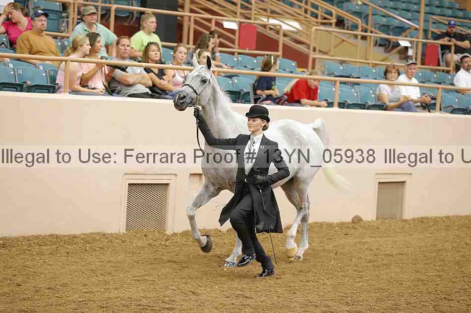 Proof 13yn_05938