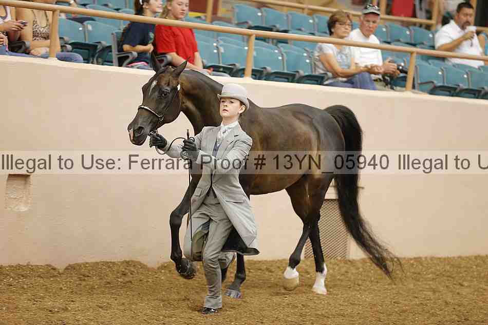 Proof 13yn_05940