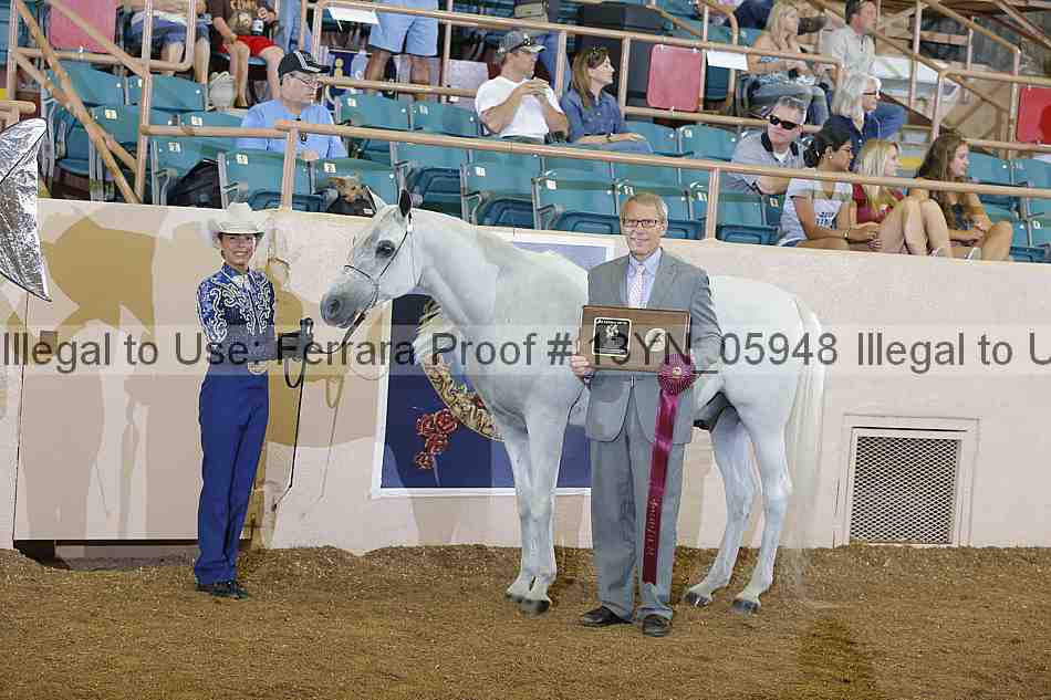 Proof 13yn_05948