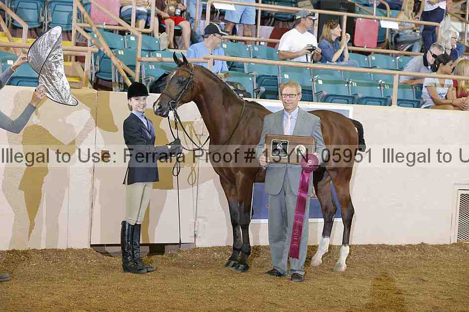Proof 13yn_05951