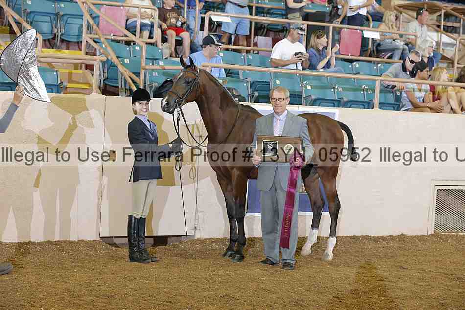 Proof 13yn_05952