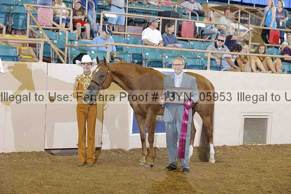 Proof 13yn_05953