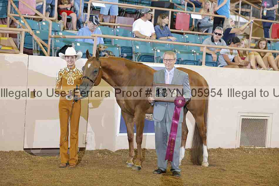 Proof 13yn_05954
