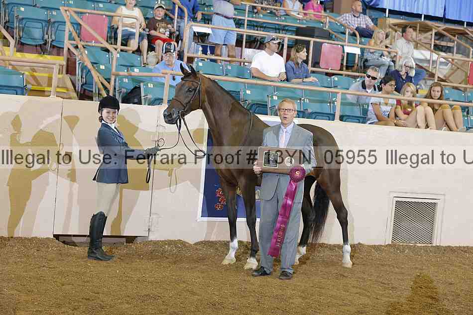 Proof 13yn_05955