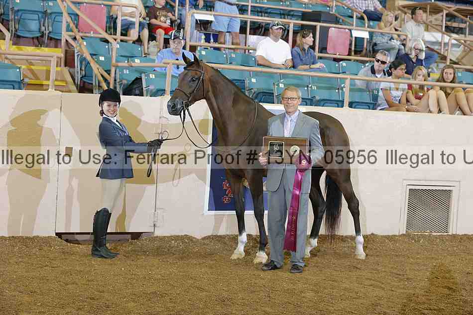 Proof 13yn_05956
