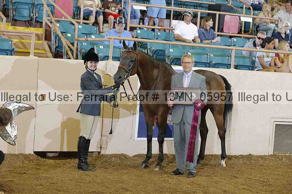 Proof 13yn_05957