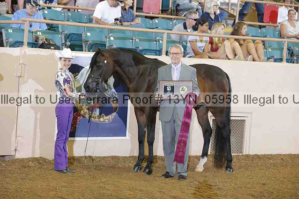 Proof 13yn_05958