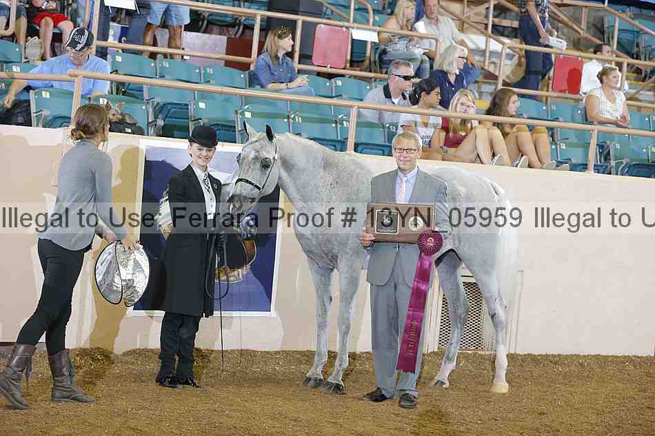 Proof 13yn_05959