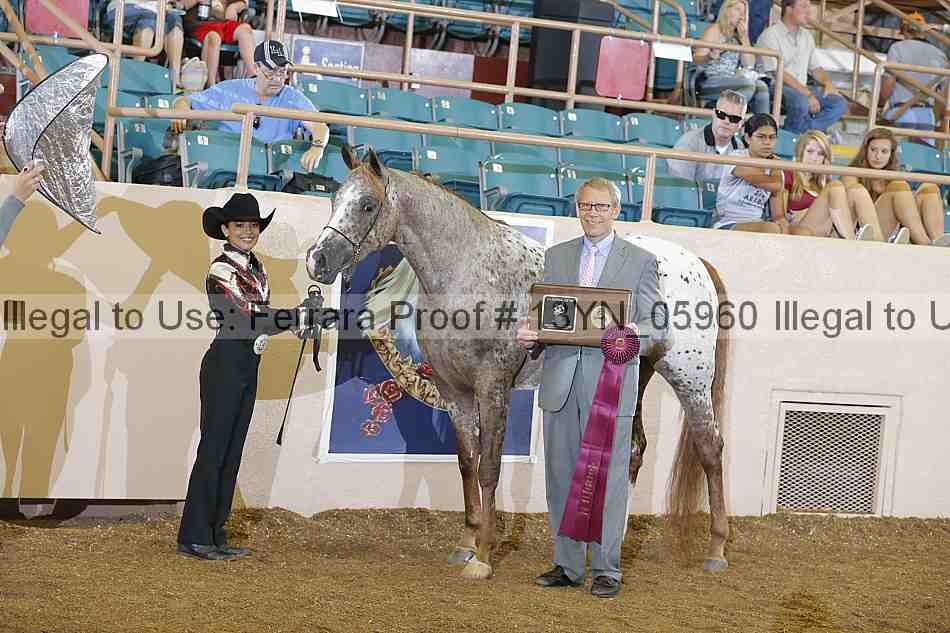 Proof 13yn_05960