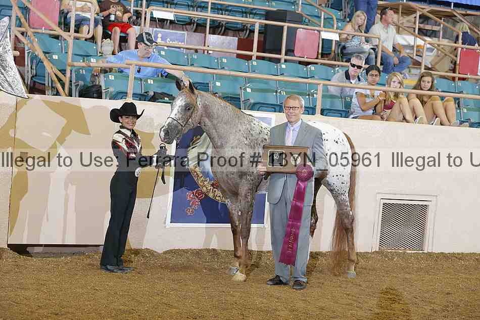 Proof 13yn_05961