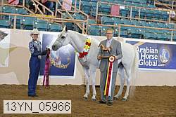13yn_05966 proof