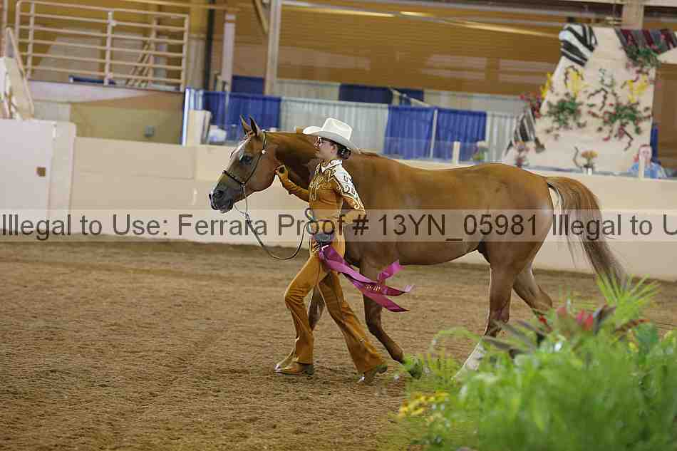 Proof 13yn_05981