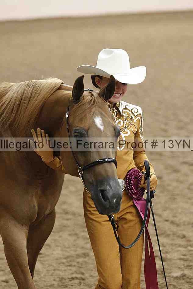 Proof 13yn_05985