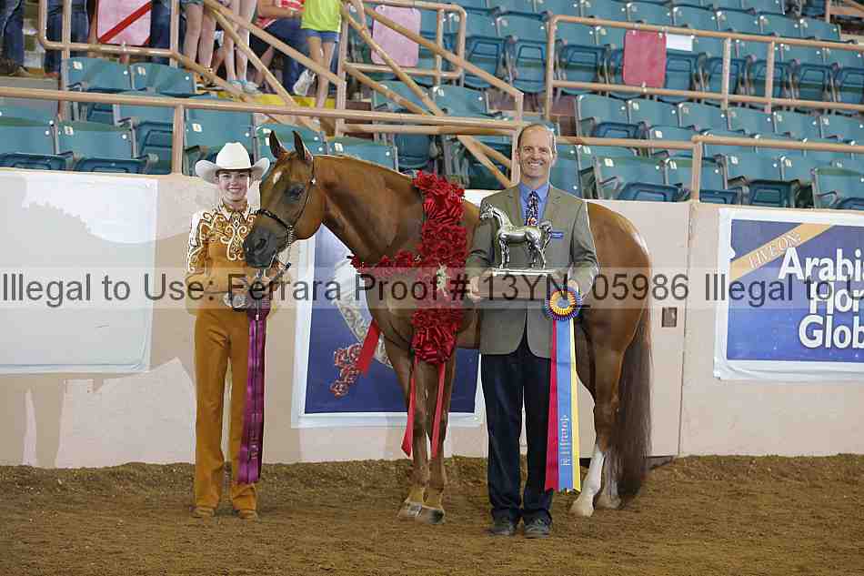 Proof 13yn_05986
