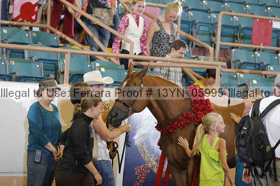 Proof 13yn_05995