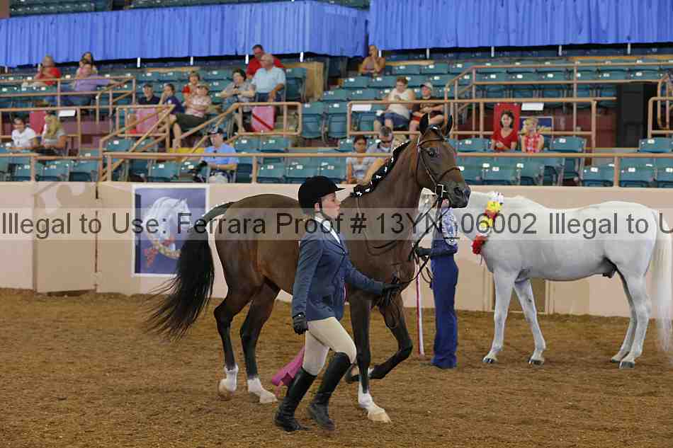 Proof 13yn_06002