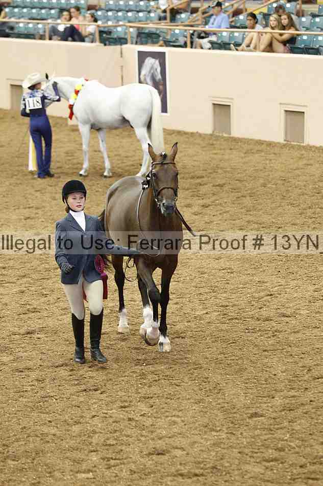Proof 13yn_06003