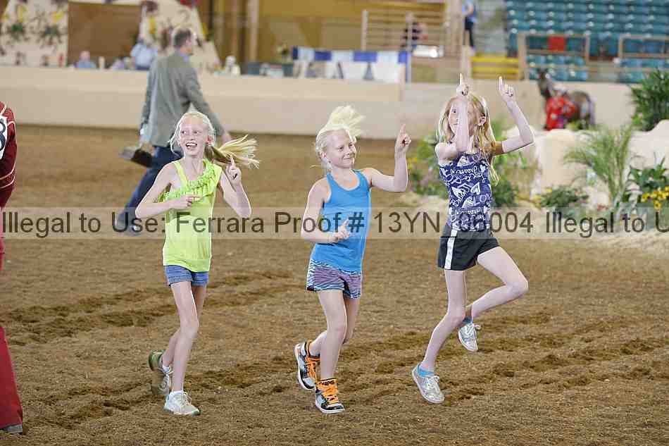 Proof 13yn_06004