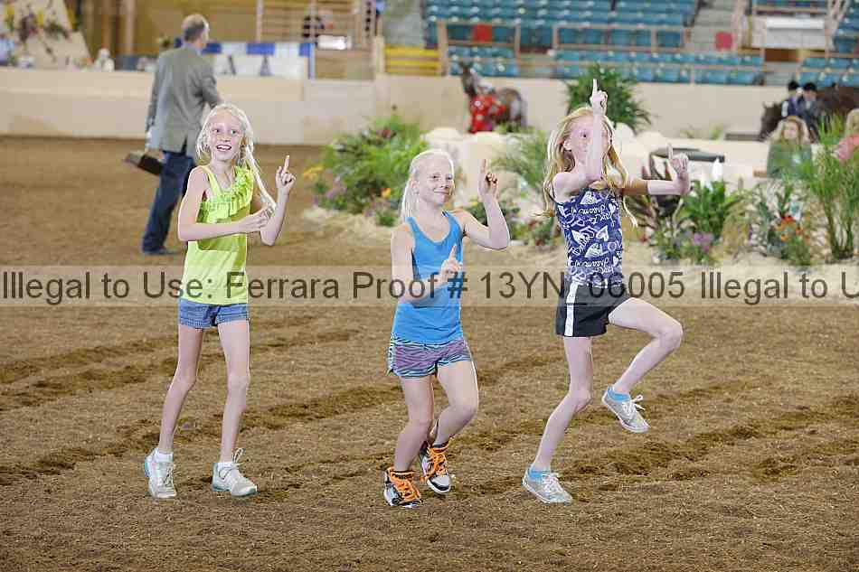 Proof 13yn_06005
